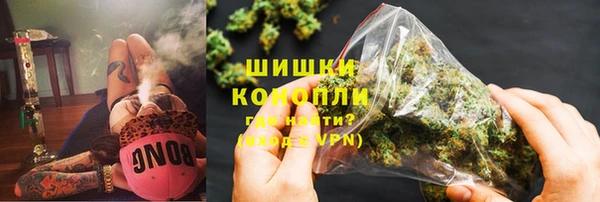 дурь Инсар