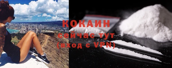 дурь Инсар