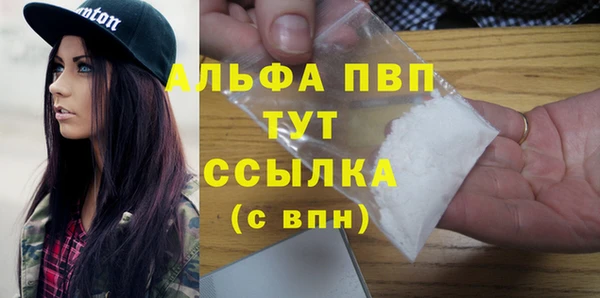 дмт Каменка