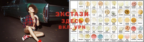 гидра Инта