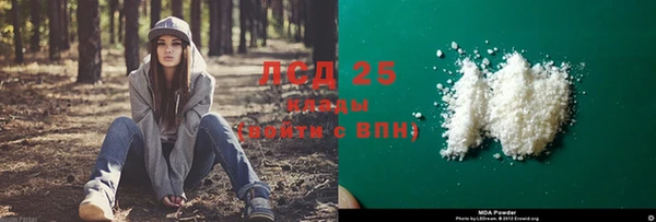 дмт Каменка