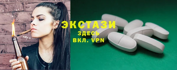 гидра Инта