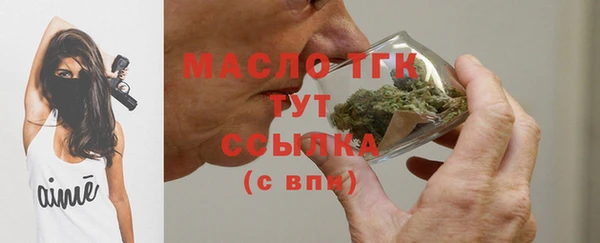 гидра Инта