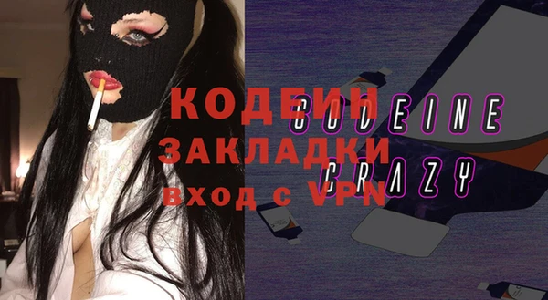 гидра Инта