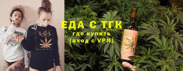 гидра Инта