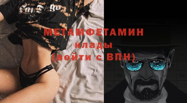 гидра Инта
