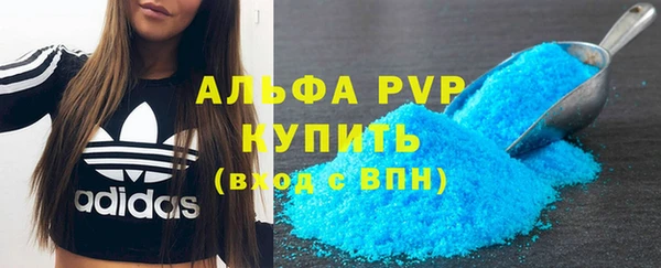 гидра Инта