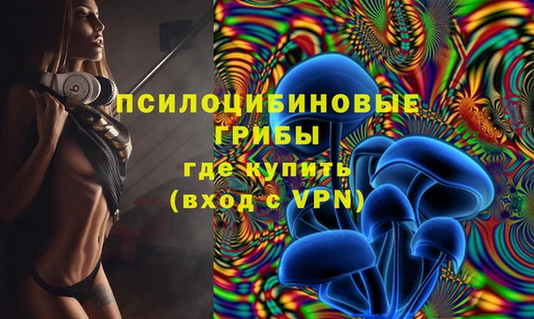 PSILOCYBIN Зеленокумск