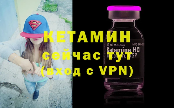 гидра Инта